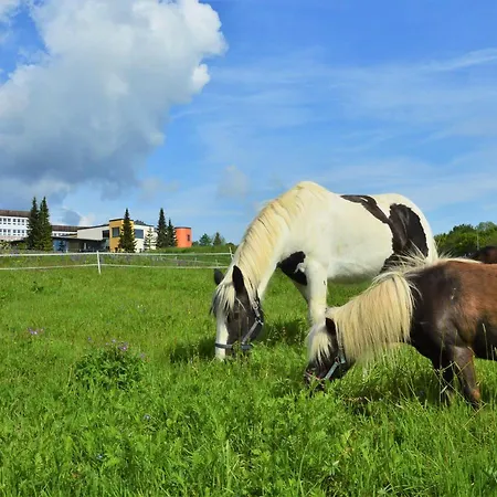 Elldus Oberwiesenthal